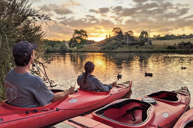 Tauranga: Evening Glowworm Kayak Tour - Important Considerations