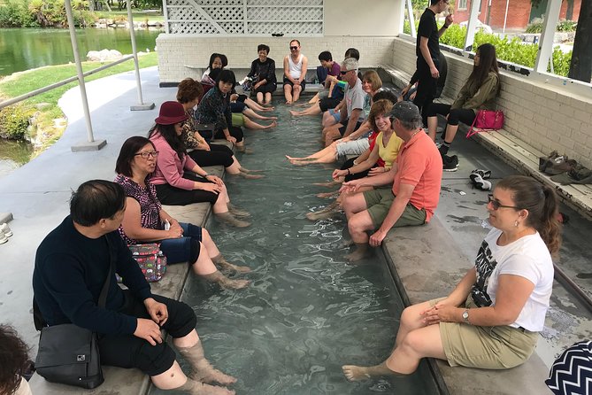 Tauranga Shore Excursion: Rotorua Tour Including Gondola Ride and Fun Luge (Opt) - Reviews and Ratings