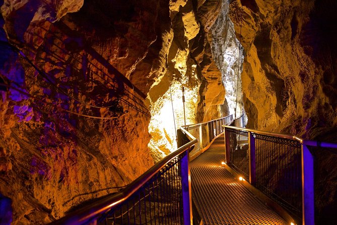 Tauranga - Waitomo : Ancient Glow-Worm Caves Shore Excursion - The Glow-Worm Caves Experience