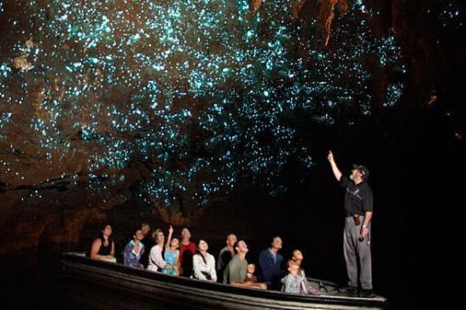 Te Anau Glow Worm Caves Tour - Inclusions and Accessibility