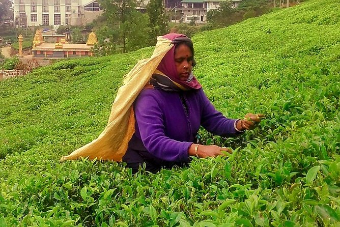 Tea Factories And Waterfalls Tour - Pricing Information