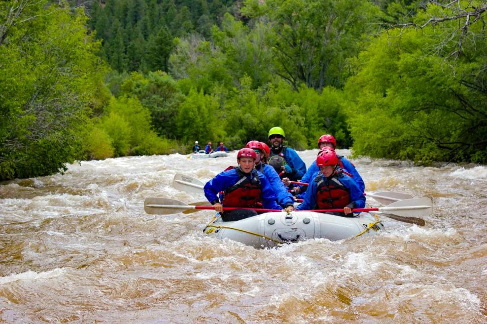 Telluride Whitewater Rafting - Morning Half Day - Whats Included