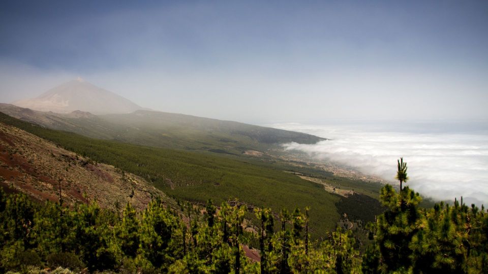 Tenerife: Teide National Park and Dolphins Sailboat Tour - What to Bring and Restrictions