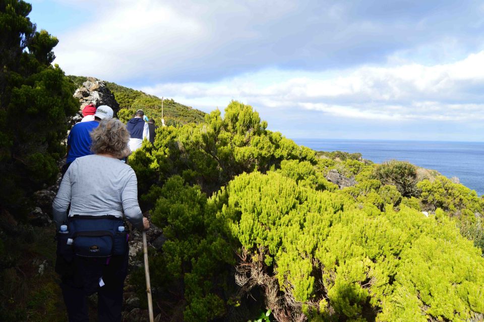 Terceira: Azores Half Day Hike - Transportation and Group Size