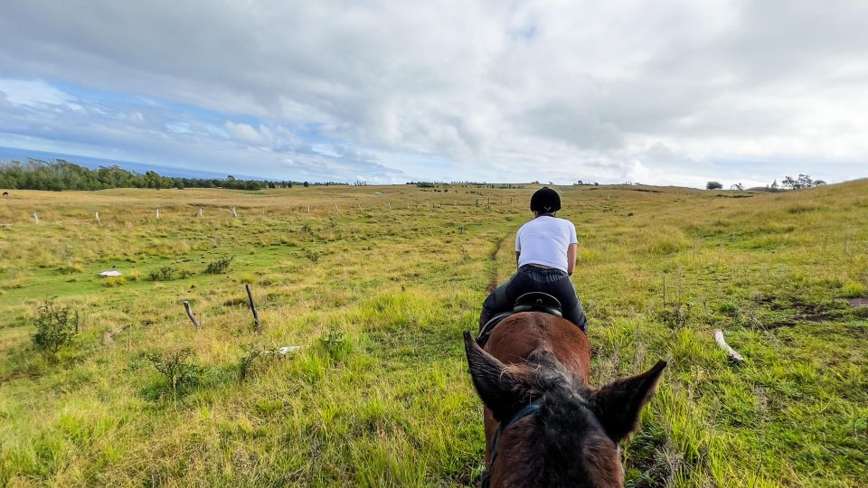 Terevaka Horse Excursion: the Highest Point and 360° View. - Safety and Accessibility