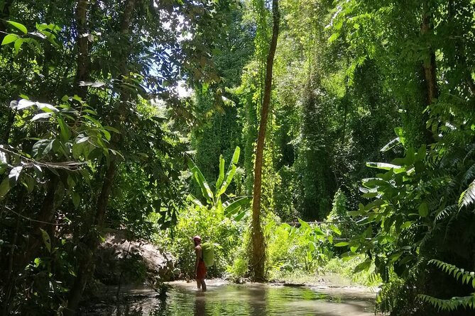 The Best Full Day Tour: Doi Suthep, Wat Phalat, Sticky Waterfall - What to Expect