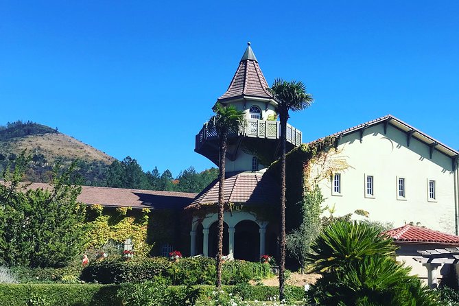 The Best Private Sonoma and Napa Wine Tour From San Francisco - Customer Feedback