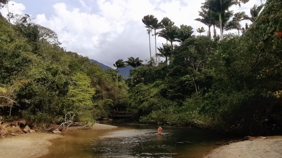 The BEST Vila Do Abraão Tours and Things to Do - Unique Experiences to Consider