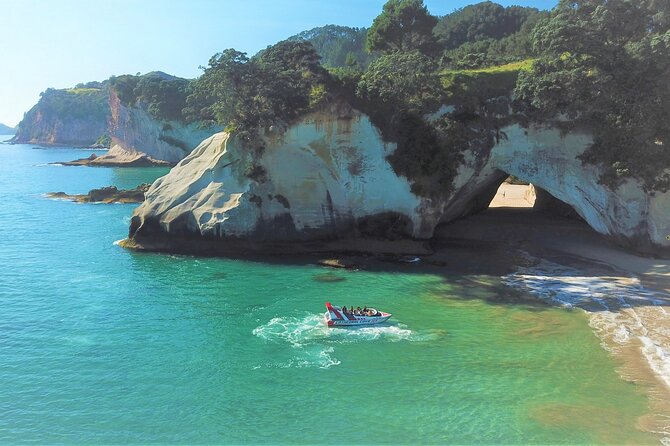 The Cove - Cathedral Cove Jet - Meeting Point Details