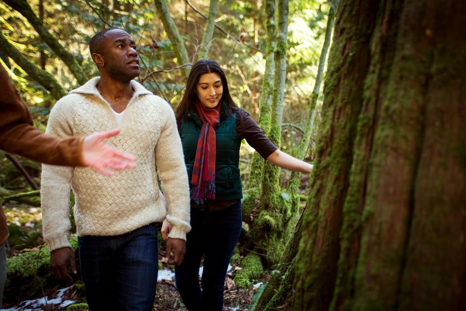 The Dark Secrets of Stanley Park Tour - Forced Evictions and Corruption