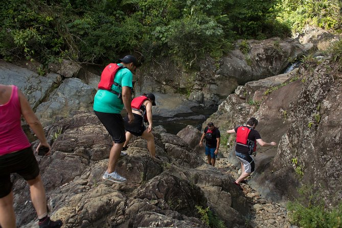 The El Yunque Rainforest and Bio Bay Kayaking Combo Tour - Visiting Bioluminescent Bay