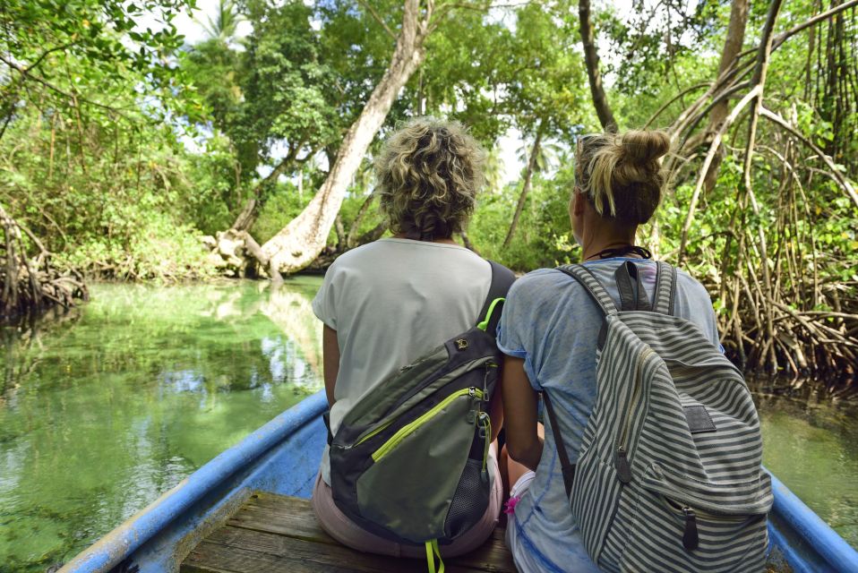 The Haitises: Boat Excursion and Walking Tour With Lunch - Mangrove Pathways and Wildlife