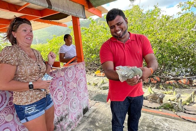 The Highlights of St Maarten Full-Day Private Vip Island Tour - Accessibility Features
