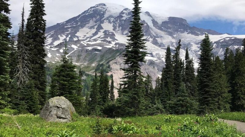 The Mount Rainier Majestic Trails Self-Guided Audio Tour - Sunrise Point Lookout and Wildlife