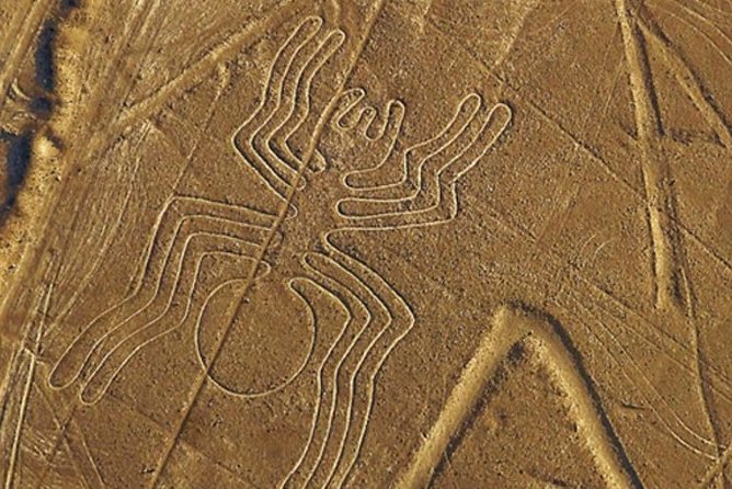 The Nazca Lines & Huacachina Oasis From Lima - Transportation and Logistics