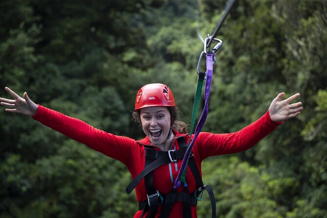 The Original Canopy Zipline Experience Private Tour From Auckland - Meeting Points and Pickup