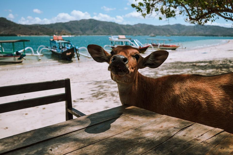 The Southern Gilis Tour - Gili Nanggu Snorkeling