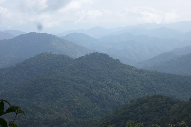 The Wild Explorer - 3 Days Forest Trek With Homestay and Camping - Accommodations Provided