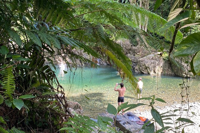 The Yunque Hike Adventure to Las Tinajas Waterfall From Fajardo - Customer Reviews and Feedback