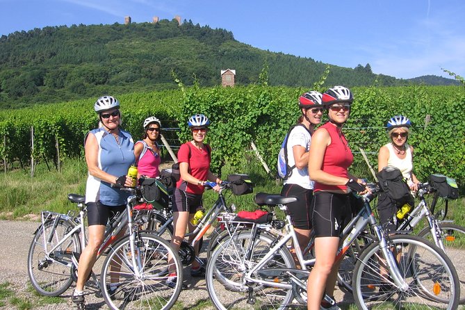 Through Alsace Vineyards and Wine Villages Private Bike Tour - Pricing and Availability