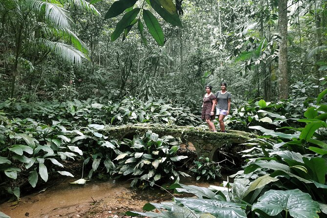 Tijuca National Park and All Its Wonders - Community and Environmental Impact