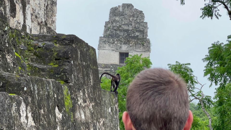 Tikal Sunrise, Archeological Focus and Wildlife Spotting - Wildlife Spotting Opportunities