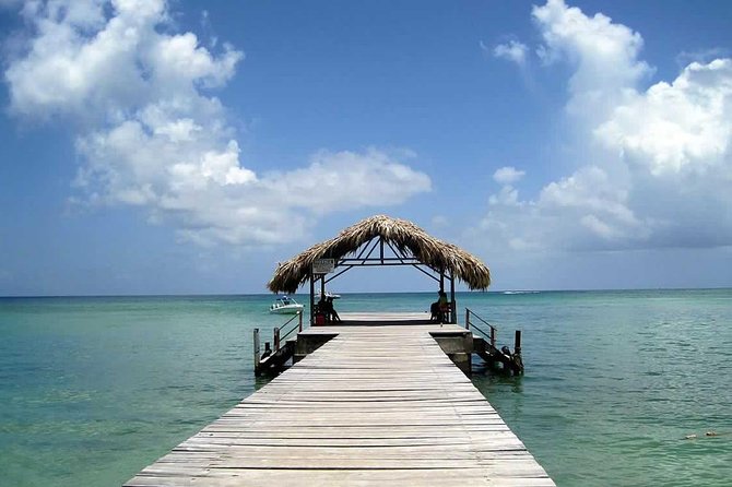 Tobago Buccoo Reef Glass Bottom Boat Tour - Inclusions and Logistics