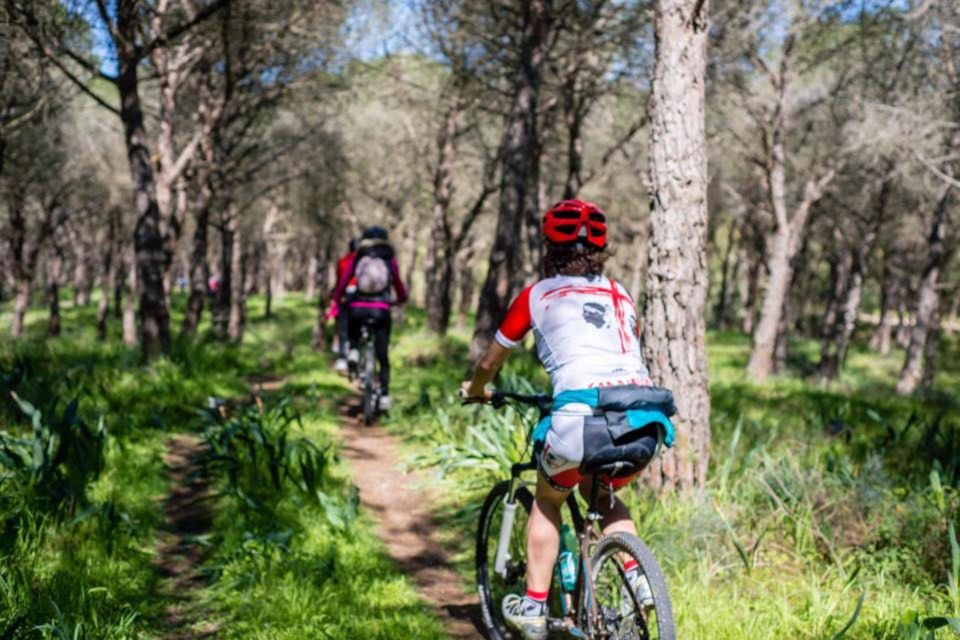 Torregrande Marina Bike Tour - Included in the Tour