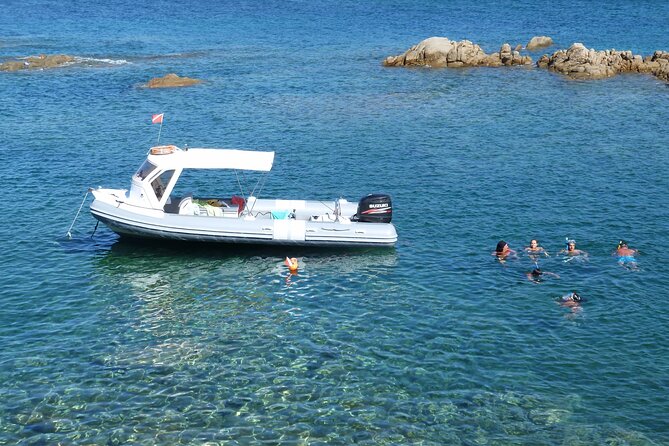 Tour in Rubber Dinghy and Snorkeling in the Protected Marine Area of Tavolara - Traveler Experiences