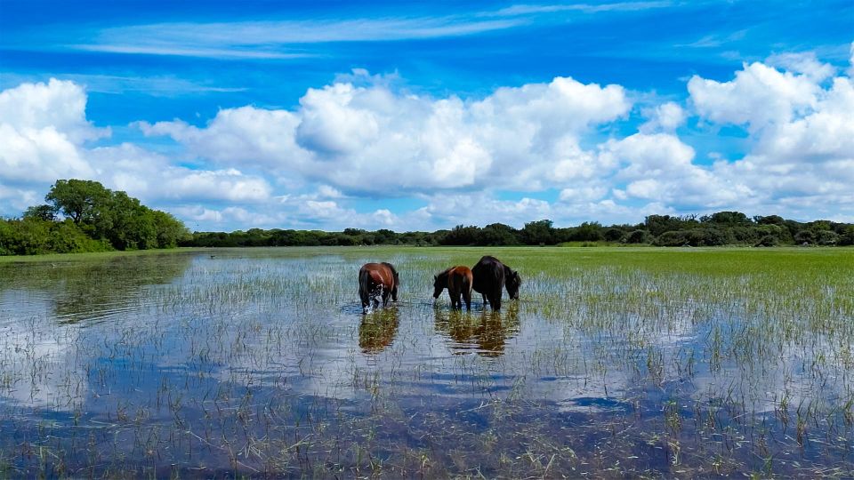 Tour Nature & Wildlife From Cagliari - Capture Unforgettable Moments