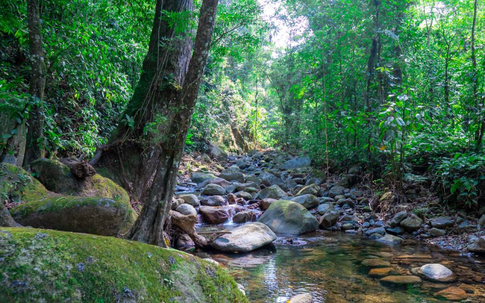 Tour of 2 Days Explore the New Lost City Ctg-Sta Marta - Water Activities in the Region