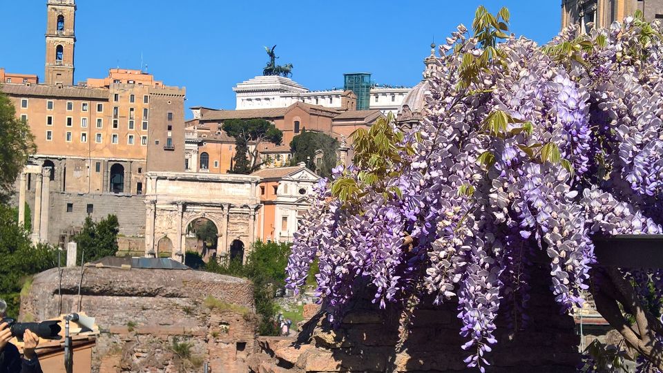 Tour of Colosseum & Roman Forum With Dutch Guide - Important Information to Note