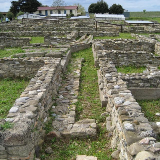 Tour of the Archaeological Area of Policoro - Excluded From the Tour