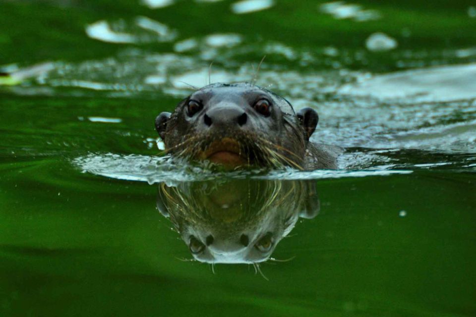 Tour Tambopata Sandoval Lake 2 Days 1 Night - Important Information