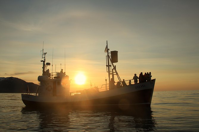 Traditional Whale Watching Tour From Húsavík - What to Expect Onboard