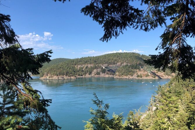 Tree Canopy Climbing on Lopez Island - Tips for a Great Experience