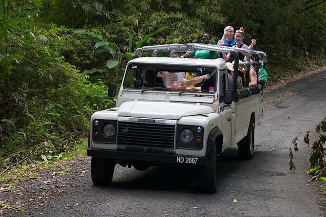 Treetop Adventure Park Canopy Tour - Tour Inclusions