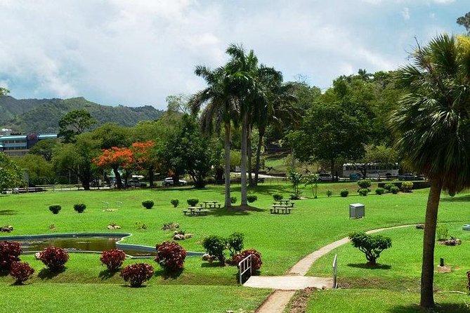 Trinidad Highlights Tour From Port of Spain - Guest Feedback and Reviews