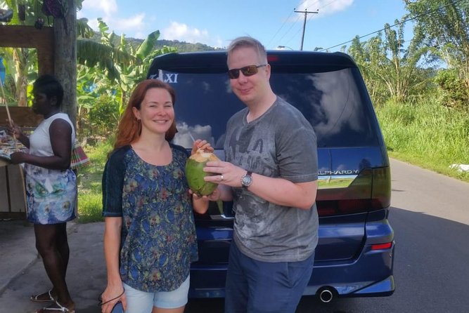Trip to Soufiere: Volcano, Twin Pitons, Waterfall, Mud Bath & Botanical Garden - Discovering Diamond Falls