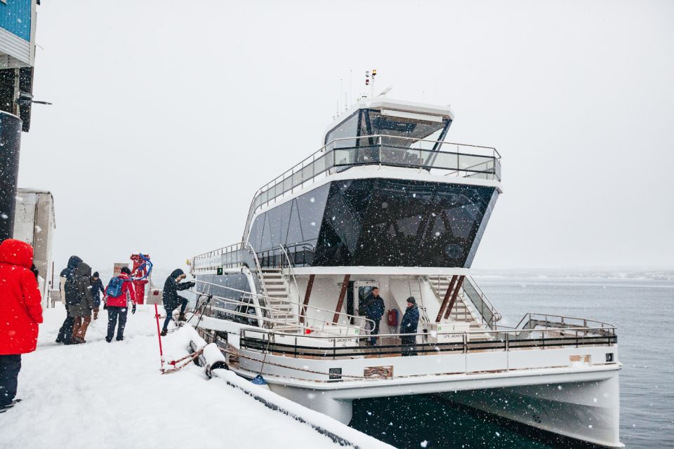 Tromsø: Arctic Fjord Cruise by Hybrid-Electric Catamaran - Scenic Views and Experience