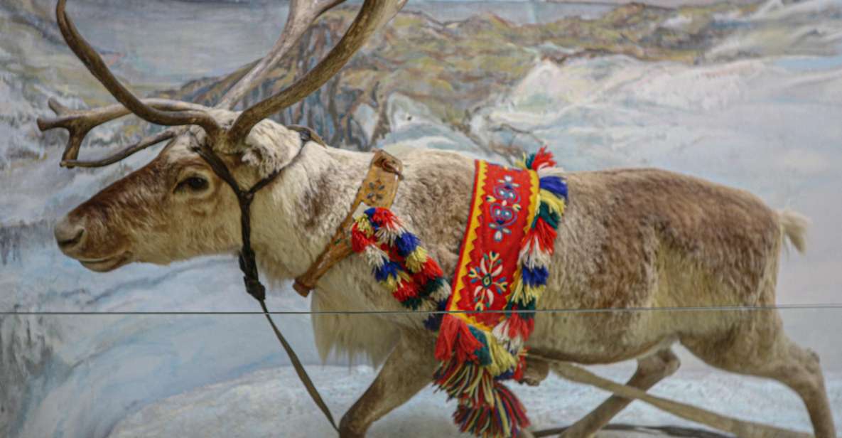 Tromsø: Discover Sami Culture Museum Expedition - Important Information