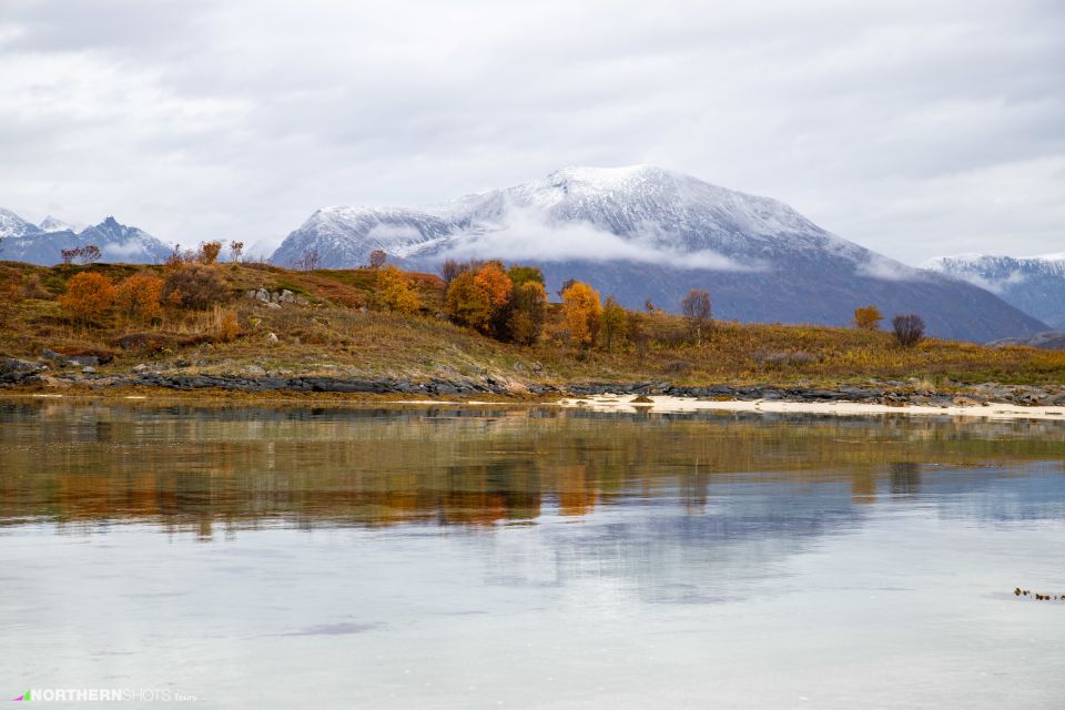 Tromsø: Fjord Photo Tour by Minibus - Customer Reviews