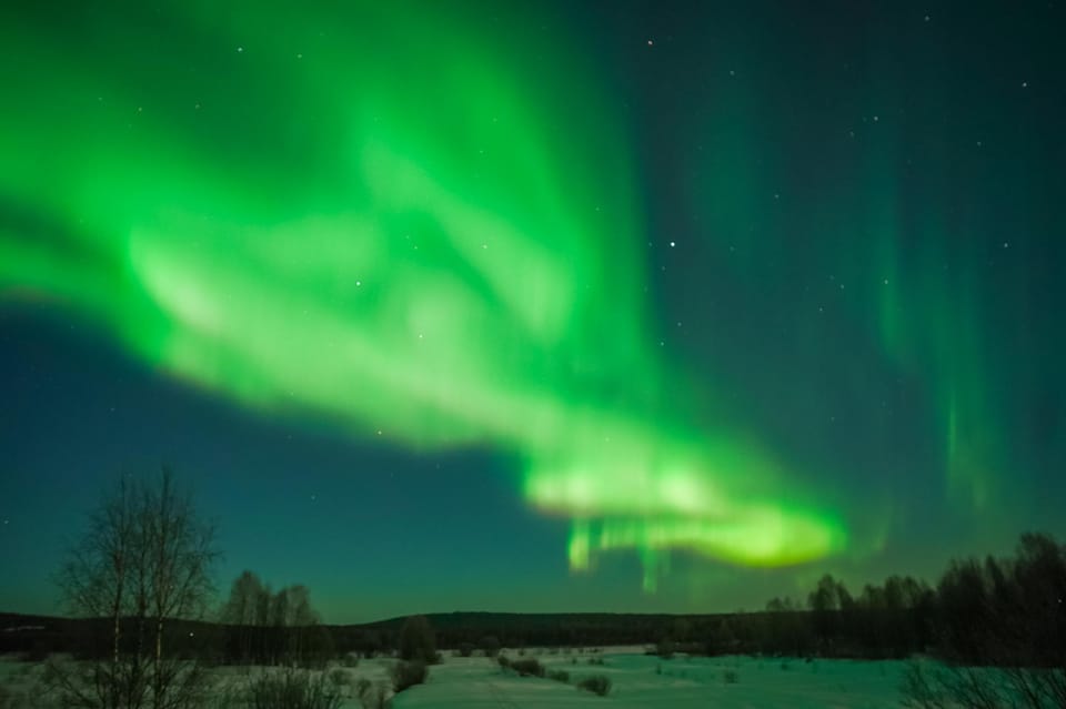 Tromsø: Guided Northern Lights Tour W/ Guaranteed Sightings - Customer Support