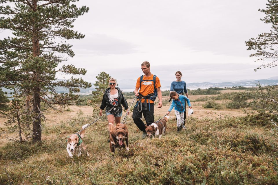 Tromsø: Husky Hike and Puppy Visit With Traditional Lunch - Participant Requirements