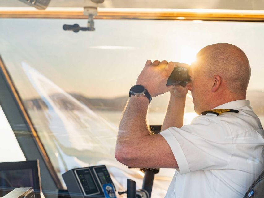 Tromsø: Midnight Sun or Sunset Cruise With a Guide - Wildlife and Seasonal Information