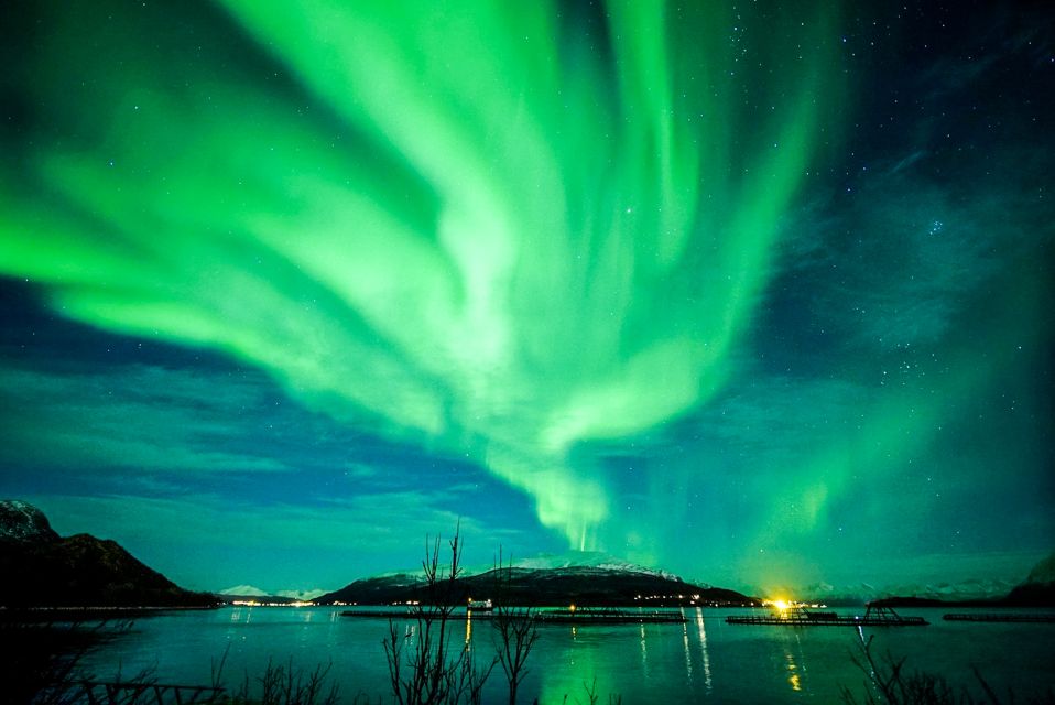 Tromsø: Northern Lights Chase Minibus Tour With Campfire - Itinerary and Logistics