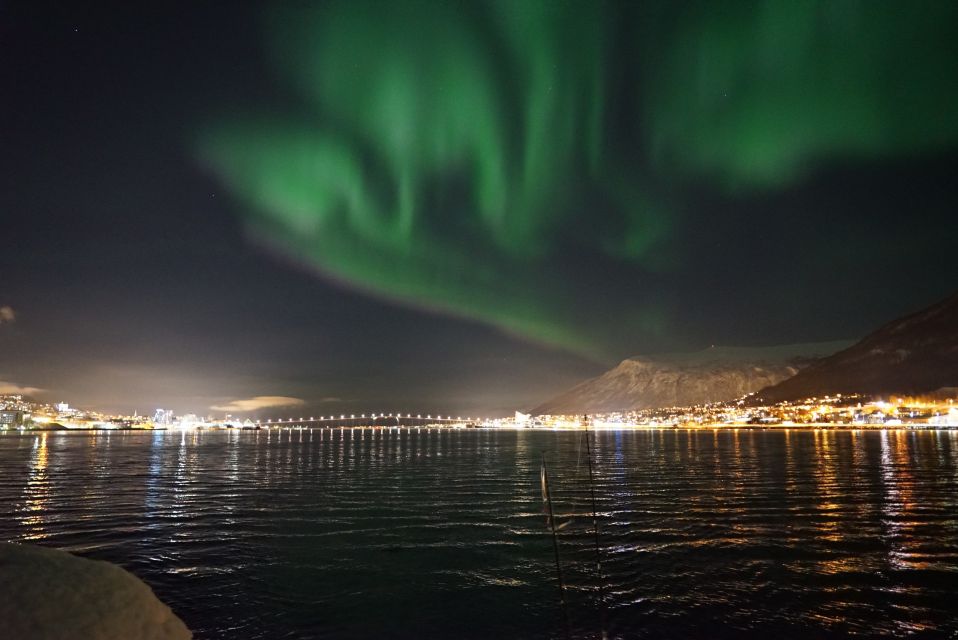 Tromsø: Northern Lights Luxury Catamaran Cruise - Essential Information for Participants