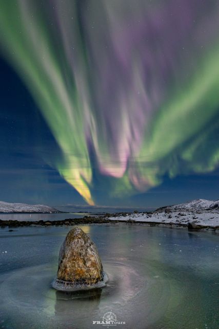 Tromso: Northern Lights Tour With Photographer - Important Information