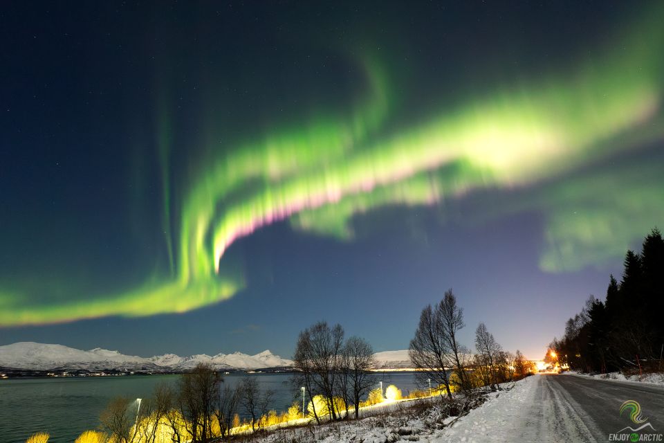 Tromsø: Northern Lights Trip With Campfire and Snacks - What to Expect