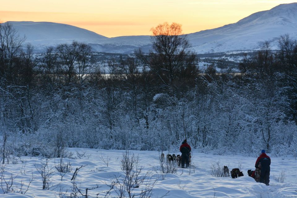 Tromsø: Self-Drive Husky Dog Sledding Adventure - Whats Included in the Package